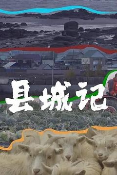 县城记