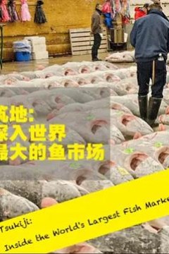 筑地深入世界上最大的鱼市场