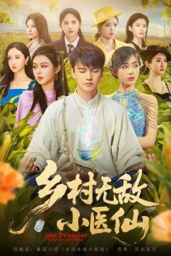 乡村无敌小医仙