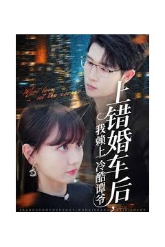 上错婚车后我赖上冷酷谭爷