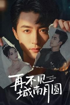 再不见城南月圆