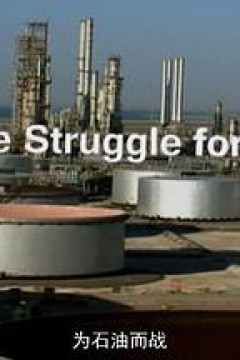 为石油而战