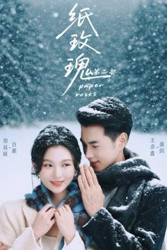 纸玫瑰第二部