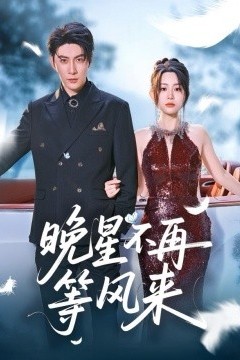 晚星不再等风来