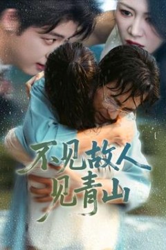 不见故人见青山