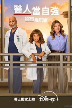 实习医生格蕾第二十二季