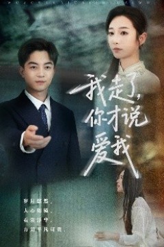 我走了你才说爱我