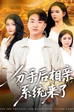 分手后相亲系统来了