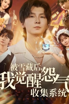 被雪藏后我觉醒怨气收集系统
