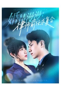 婚情漫漫，律师前任求复合