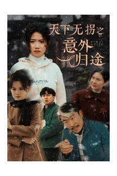 天下无拐之意外归途