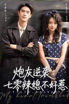 炮灰逆袭七零辣媳不好惹