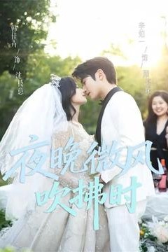 夜晚微风吹拂时