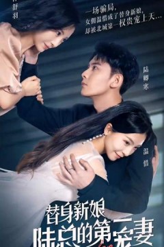 替嫁新娘陆总的第一宠妻