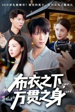 布衣之下万贯之身