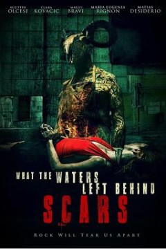 水退之后2：伤痕