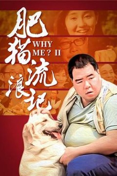 肥猫流浪记国语