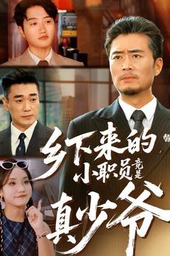 乡下来的小职员竟是真少爷