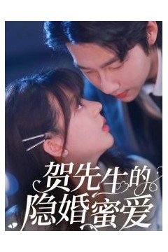 贺先生的隐婚蜜爱