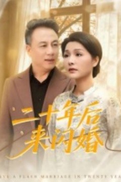 二十年后来闪婚