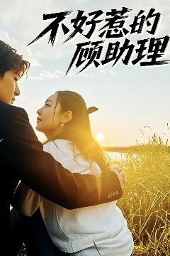 不好惹的顾助理