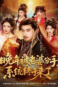 晚年被老婆分手，系统终于来了