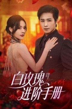 白玫瑰进阶手册