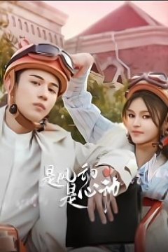 是风动、是心动