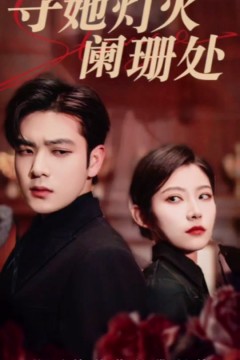 寻她灯火阑珊处