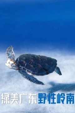 绿美广东·野性岭南