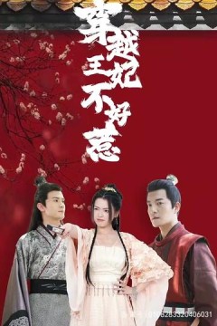 穿越王妃不好惹