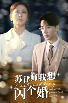苏律师我想闪个婚$苏大律的社畜女友