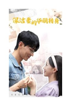 保洁妻的华丽转身