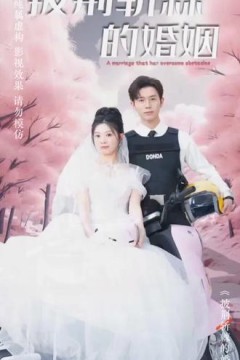 新：披荆斩棘的婚姻