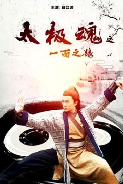 太极魂之一面之缘