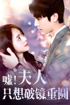 嘘！夫人只想破镜重圆