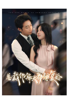 总裁他每天都想复婚