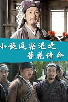 小旋风柴进之簪花请命