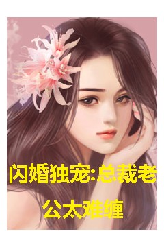 闪婚独宠，总裁老公太难缠