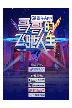 哥哥的飞驰人生