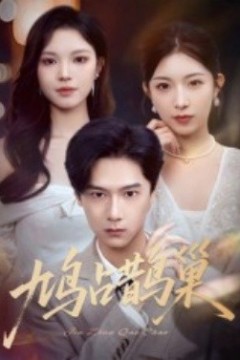 鸠占鹊巢顶流夫人的致命陷阱