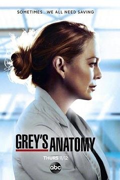 实习医生格蕾第十七季