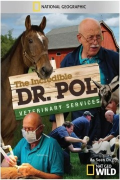 动物神医第四季