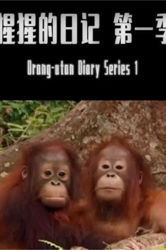 BBC.猩猩日记 第一季