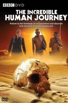 奇妙的人类旅程