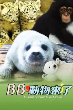 动物宝宝迷你特辑