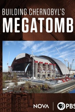 切尔诺贝利的巨型坟茔