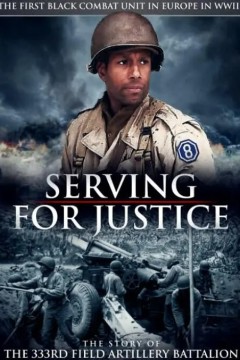 为正义服务：第333野战炮兵营的故事