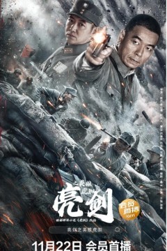 亮剑之英雄虎胆2022