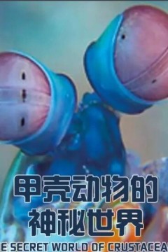 甲壳动物的神秘世界